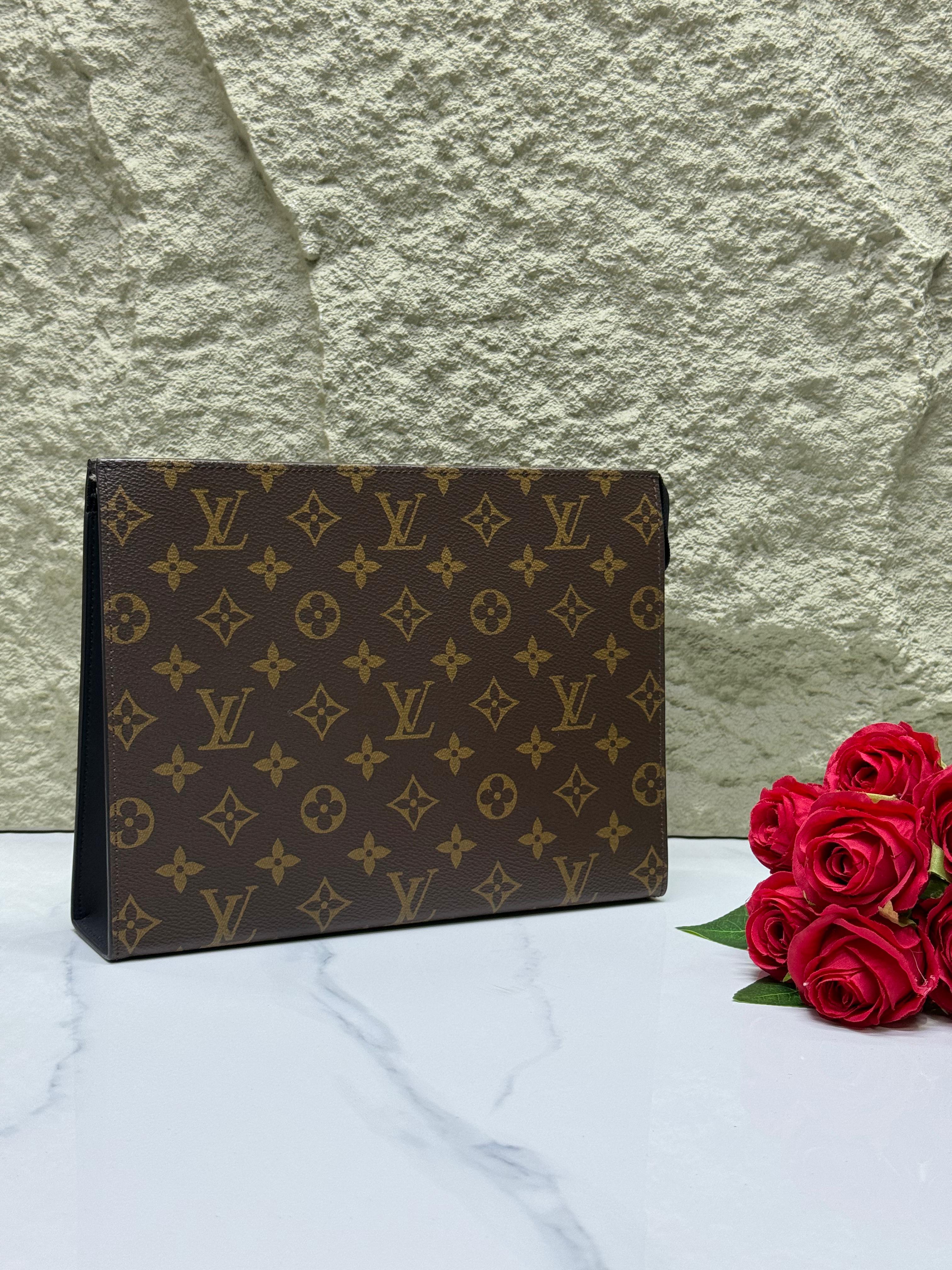 Louis Vuitton pouch bag
